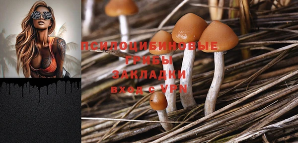 синтетический гашиш Белокуриха