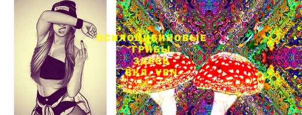 синтетический гашиш Белокуриха