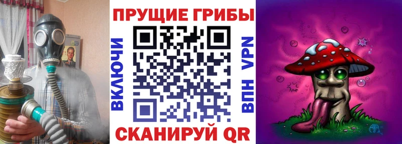магазин  наркотиков  Шумиха  Псилоцибиновые грибы мухоморы 